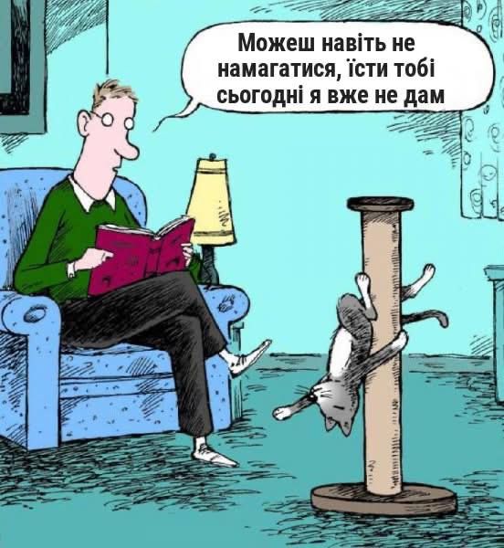 Мемы о котах, которых мы любим, хоть иногда они невыносимы - 769426 Мемы о котах, которых мы любим, хоть иногда они невыносимы - фото 769426
