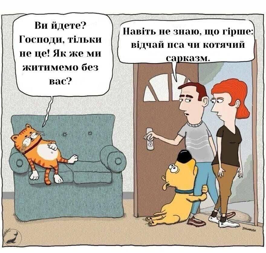 Мемы о котах, которых мы любим, хоть иногда они невыносимы - 769428 Мемы о котах, которых мы любим, хоть иногда они невыносимы - фото 769428