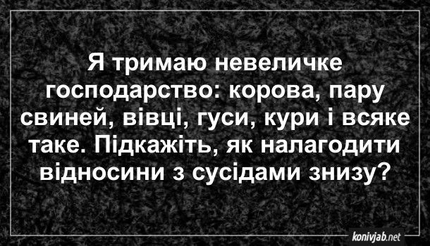 Мемы про соседей, или как выжить под звуки перфоратора, караоке и детских криков - 769735 Мемы про соседей, или как выжить под звуки перфоратора, караоке и детских криков - фото 769735