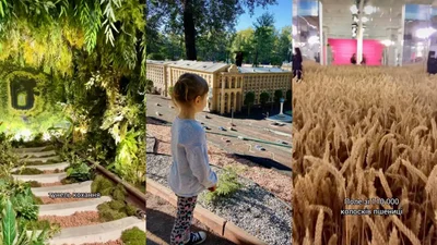 Куди піти в Києві з дітьми: 5 оригінальних ідей