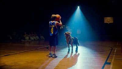 Бадди возвращается: культовая лента 90-х о псе-баскетболисте получила римейк