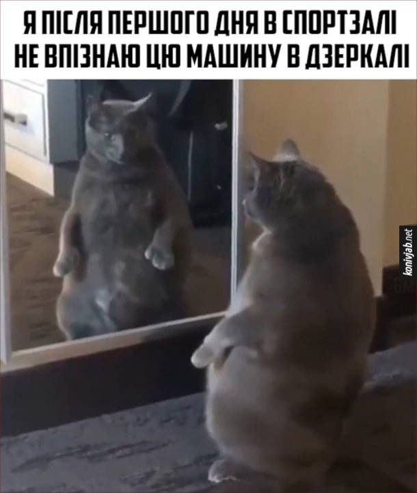 Мемы о спорте: когда с понедельника обещаешь пойти в зал, но понедельник никогда не наступает - фото 771206