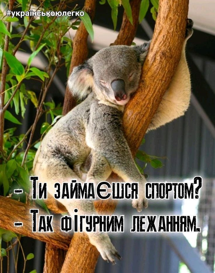 Мемы о спорте: когда с понедельника обещаешь пойти в зал, но понедельник никогда не наступает - фото 771214