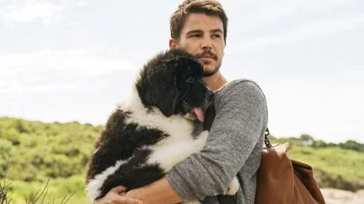 Известного американского актера госпитализировали после аварии: детали инцидента