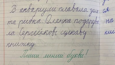 "Не пиши лошадиные буквы": мама второклассницы пожаловалась на учительницу, сеть дискутирует