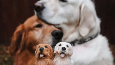 Художница создает мини-копии домашних любимцев из шерсти, и они - сплошная любовь