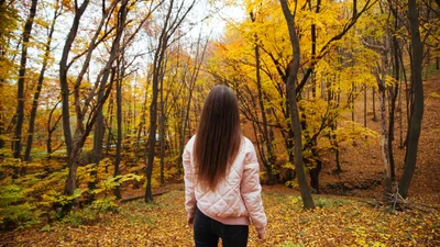 Как развеять осеннюю хандру: практические советы от психологов