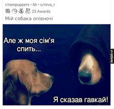 Мемы о собаках, которые напоминают: с этими животными никогда не бывает скучно - 774409 Мемы о собаках, которые напоминают: с этими животными никогда не бывает скучно - фото 774409
