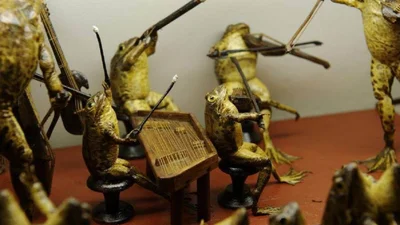 Лягушки, которые играют на музыкальных инструментах: вот 5 самых странных музеев мира