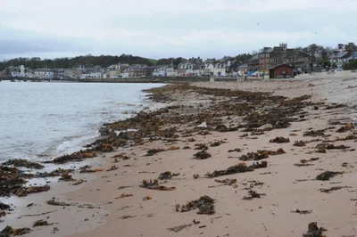 Шторм Емі приніс сюрпризи з морських глибин - фото 775030