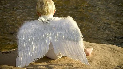 День ангела Николая 2025 - открыточки и особая проза для поздравления от которого поднимется настроение