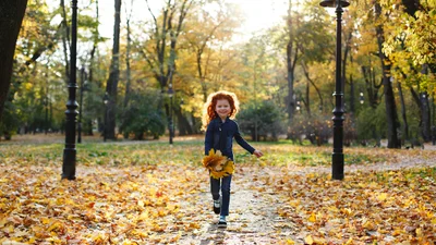 Осенние каникулы на носу: когда будут отдыхать украинские школьники