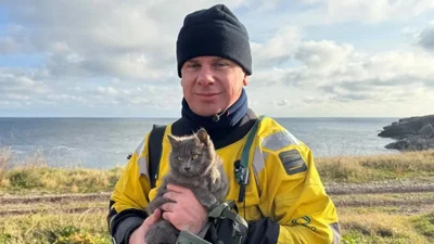 Дмитро Комаров різко змінився: телеведучий розповів, як скинув зайву вагу і "омолодив" свій організм