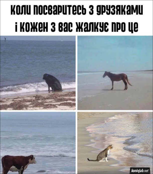 Мемы о друзьях: смешная подборка, которая заставит тебя позвонить своему лучшему другу - 776779 Мемы о друзьях: смешная подборка, которая заставит тебя позвонить своему лучшему другу - фото 776779