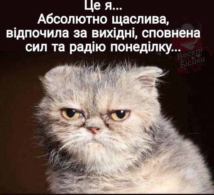 Мемы о выходных - любимые дни в жизни всех взрослых - фото 778316