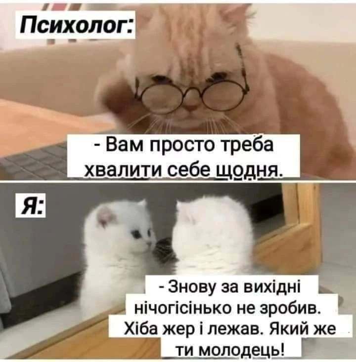 Мемы о выходных - любимые дни в жизни всех взрослых - фото 778317