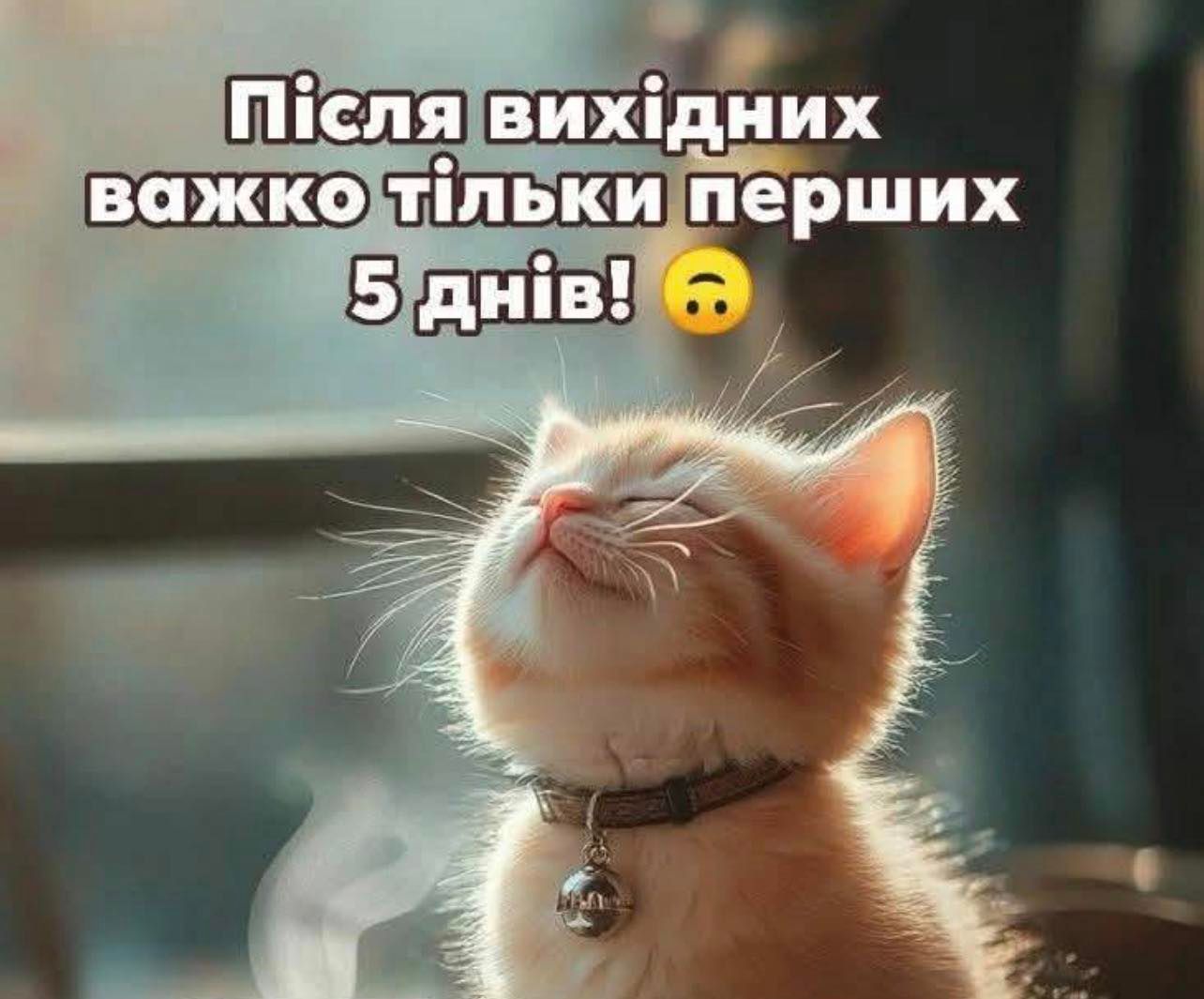 Мемы о выходных - любимые дни в жизни всех взрослых - фото 778324