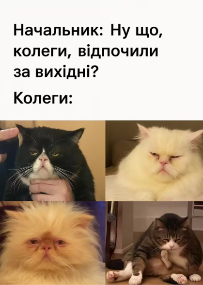Мемы о выходных - любимые дни в жизни всех взрослых - фото 778326