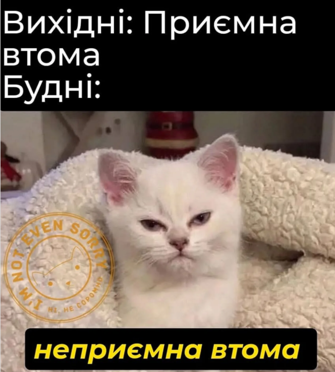 Мемы о выходных - любимые дни в жизни всех взрослых - фото 778328