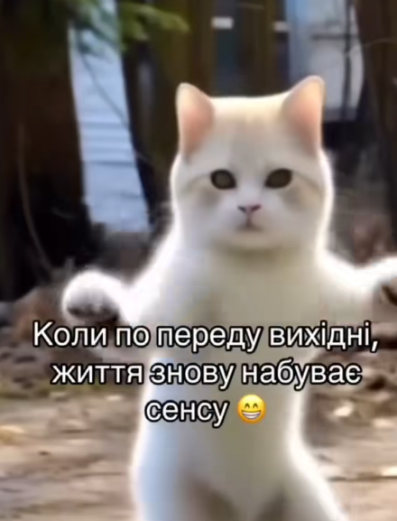 Мемы о выходных - любимые дни в жизни всех взрослых - фото 778329