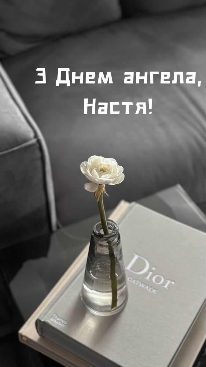 День ангела Анастасии 2025 - яркие картинки и душевная проза для поздравлений - фото 778880