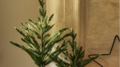 Стильно - і абсолютно без турбот: придивись до ялинкового тренду до Різдва-2025