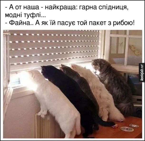 Мемы про одежду - до боли знакомые картинки для настоящих шопоголиков - 780274 Мемы про одежду - до боли знакомые картинки для настоящих шопоголиков - фото 780274