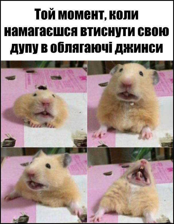 Мемы про одежду - до боли знакомые картинки для настоящих шопоголиков - 780281 Мемы про одежду - до боли знакомые картинки для настоящих шопоголиков - фото 780281