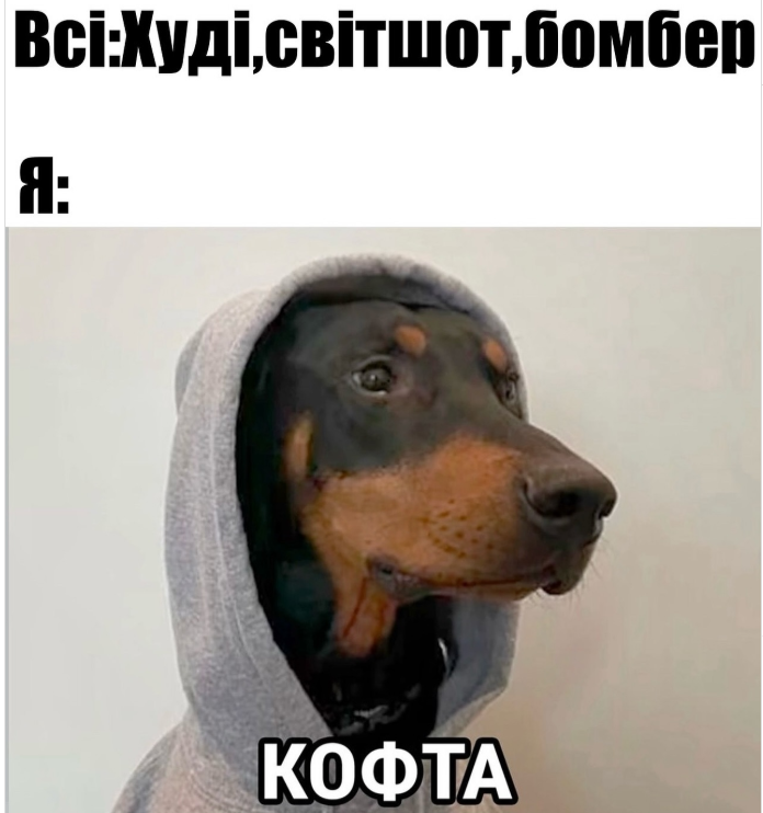 Мемы про одежду - до боли знакомые картинки для настоящих шопоголиков - 780283 Мемы про одежду - до боли знакомые картинки для настоящих шопоголиков - фото 780283