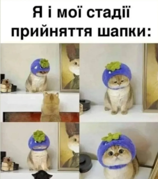 Мемы про одежду - до боли знакомые картинки для настоящих шопоголиков - 780284 Мемы про одежду - до боли знакомые картинки для настоящих шопоголиков - фото 780284