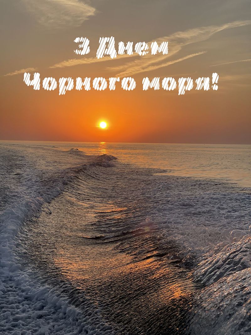 Международный День Черного моря 2025: от веселых открыток до жутких фактов - 781873 Международный День Черного моря 2025: от веселых открыток до жутких фактов - фото 781873