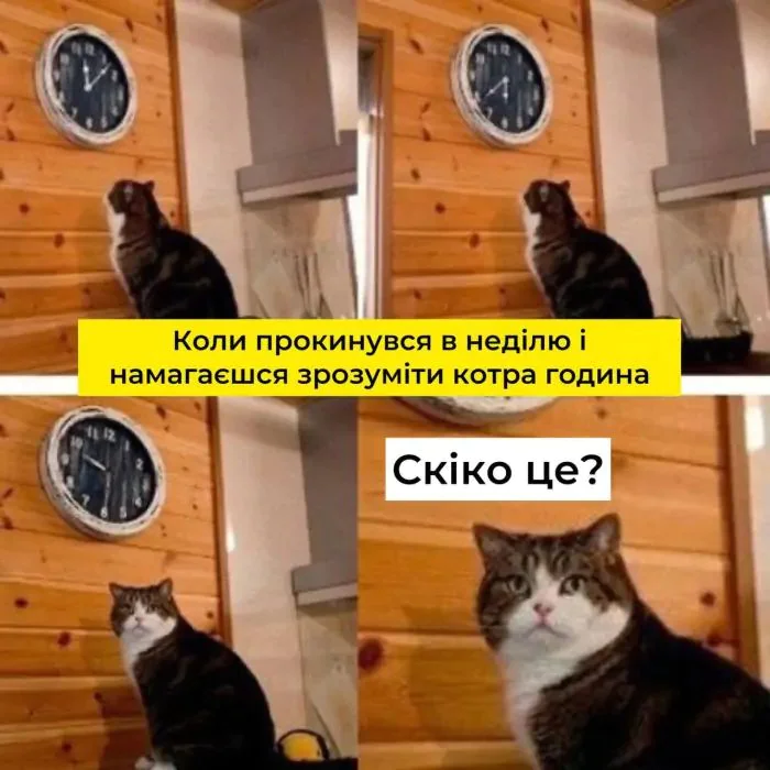 Знову на годину назад: українці реагують на перехід на зимовий час найкращим способом — мемами - фото 781933