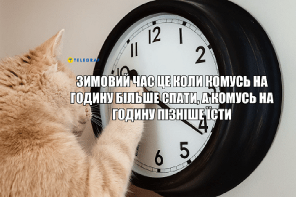 Знову на годину назад: українці реагують на перехід на зимовий час найкращим способом — мемами - фото 781935