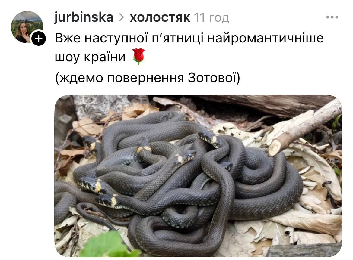 Тренди мережі та Холостяк - фото 784571