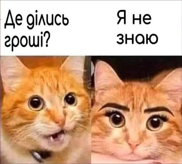 Веселые мемы о косметике и макияже - настоящем женском оружии - 786152 Веселые мемы о косметике и макияже - настоящем женском оружии - фото 786152