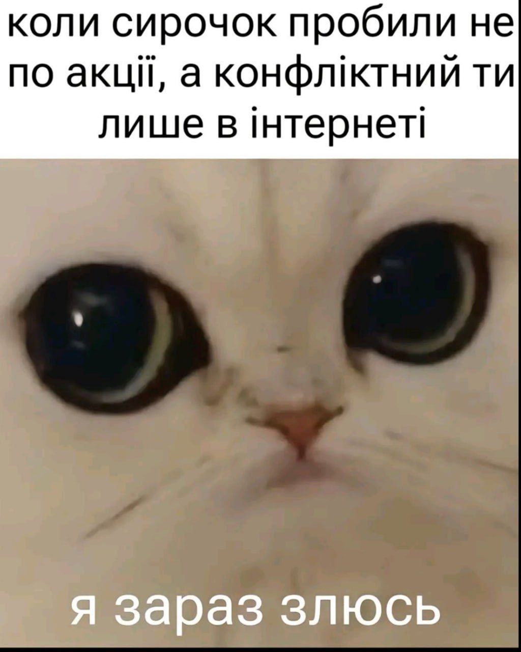 Жизненные мемы, в которых ты точно узнаешь себя - 786920 Жизненные мемы, в которых ты точно узнаешь себя - фото 786920
