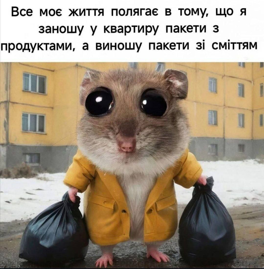 Жизненные мемы, в которых ты точно узнаешь себя - 786930 Жизненные мемы, в которых ты точно узнаешь себя - фото 786930