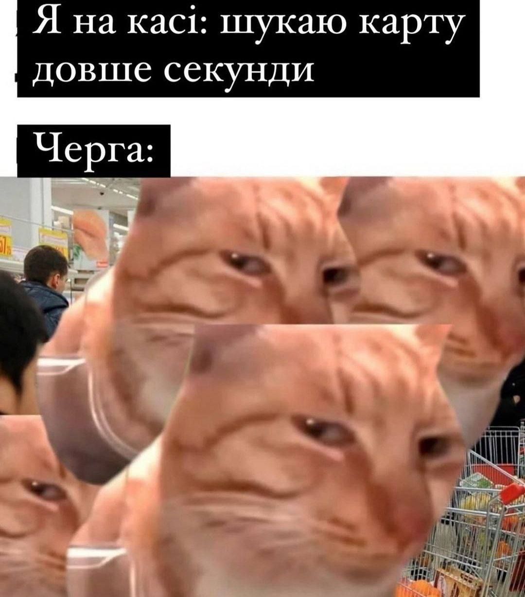 Жизненные мемы, в которых ты точно узнаешь себя - 786931 Жизненные мемы, в которых ты точно узнаешь себя - фото 786931