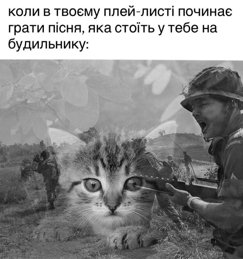 Жизненные мемы, в которых ты точно узнаешь себя - 786932 Жизненные мемы, в которых ты точно узнаешь себя - фото 786932