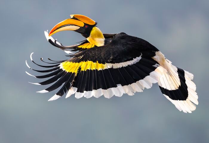 Магія дикої природи: фіналісти Nature’s Best Photography 2025 - 787133 Магія дикої природи: фіналісти Nature’s Best Photography 2025 - фото 787133