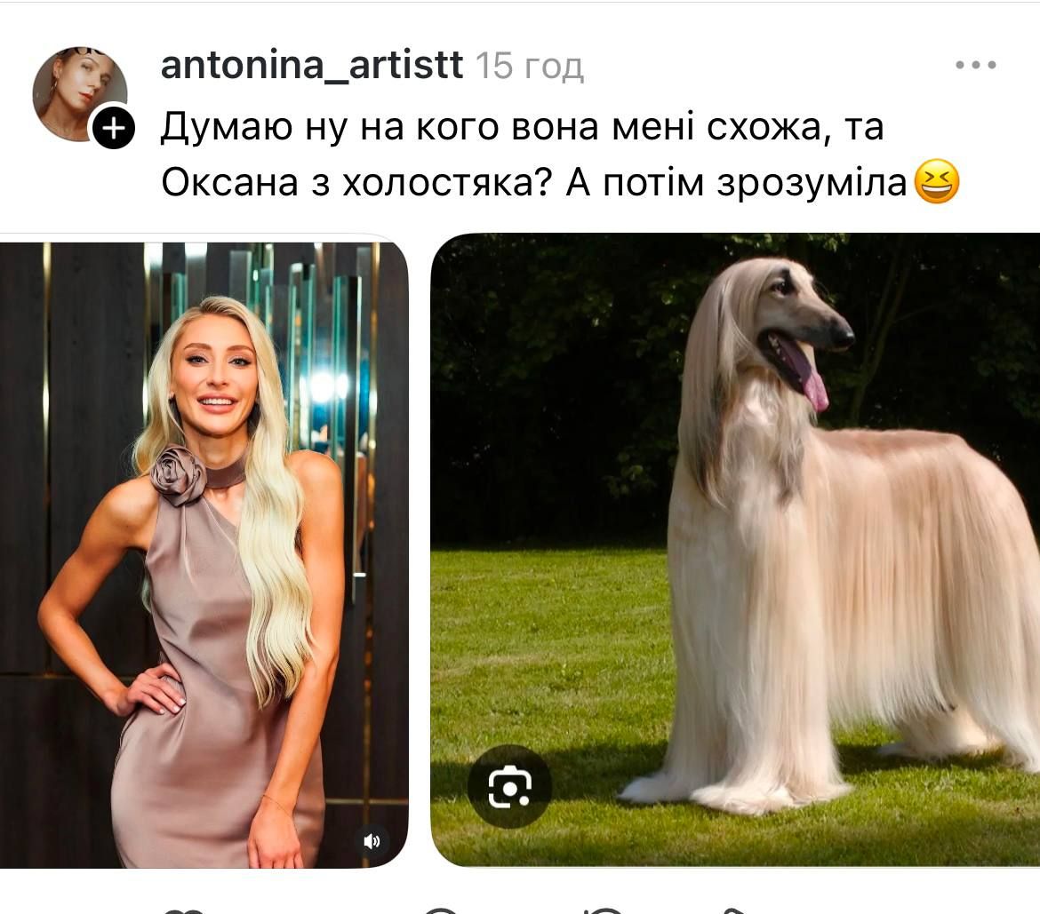 Холостяк 14 та меми - фото 787727