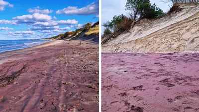 Фиолетовый пляж в Польше: удивительное явление вызвало ажиотаж среди туристов и местных