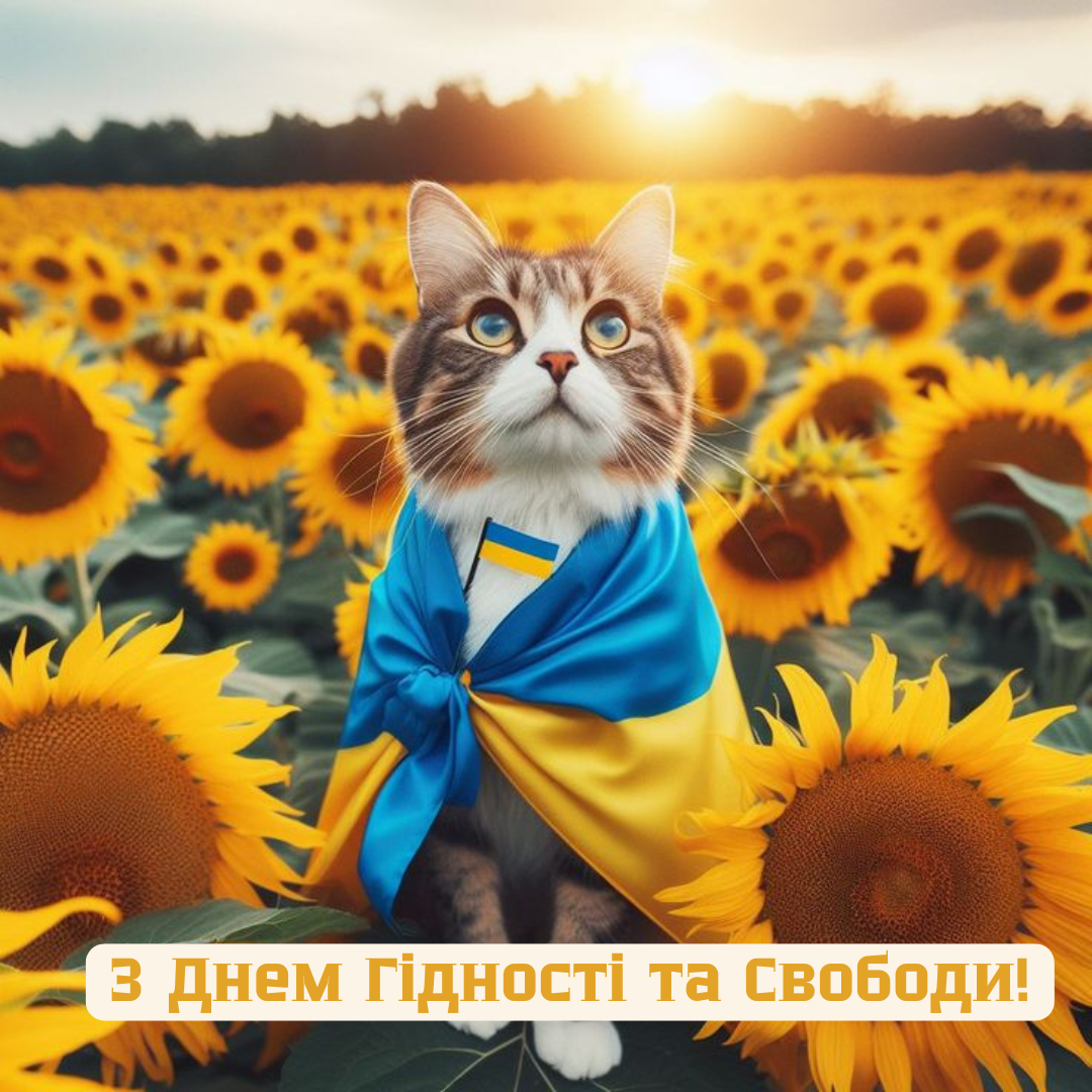 День Достоинства и Свободы: патриотические поздравления и картинки, которые вдохновят каждого - 790688 День Достоинства и Свободы: патриотические поздравления и картинки, которые вдохновят каждого - фото 790688
