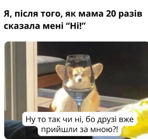 Меми про дитинство - фото 792068