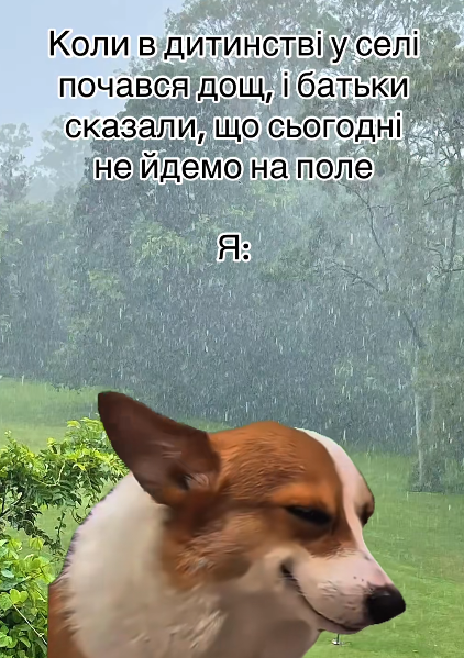 Меми про дитинство - фото 792072