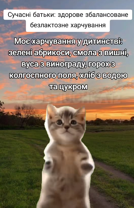 Меми про дитинство - фото 792073