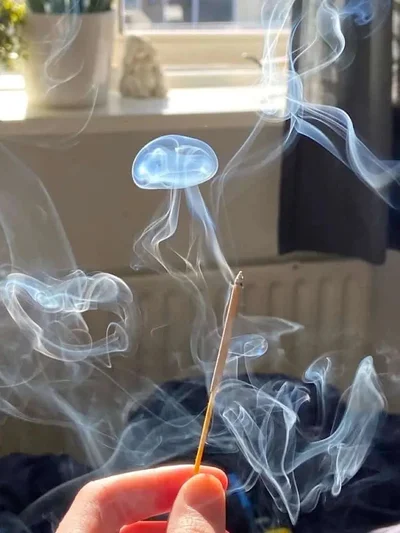 Дивні фотографії з мережі, які змушують замислитись - що це тільки що було - фото 792301