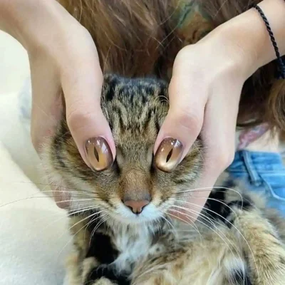 Дивні фотографії з мережі, які змушують замислитись - що це тільки що було - фото 792306