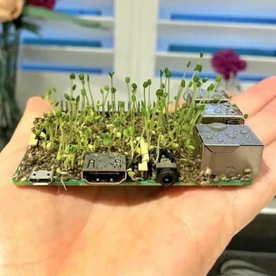 Дивні фотографії з мережі, які змушують замислитись - що це тільки що було - фото 792308