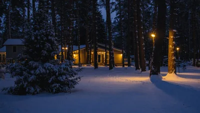 Два месяца темноты: городок на Аляске увидит солнце только в конце января